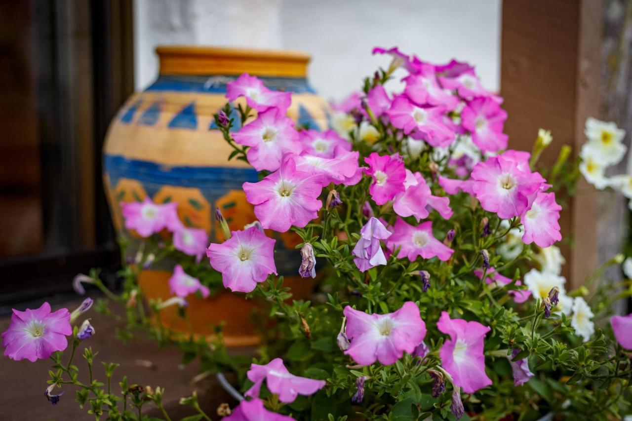 Sensom Boutique Bed And Breakfast Sapphire Beach Εξωτερικό φωτογραφία